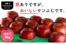 MZ12-25A 南信州産 サンふじりんご 訳あり 約5㎏ / 2025年12月中旬頃～配送予定 // 長野県 南信州 さんふじ サンフジ ふじりんご 訳あり 家庭用 自宅用