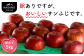 【訳あり品】南信州産りんご「サンふじ」