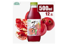 MK06-25E 【砂糖不使用】 順造選 ザクロジュース（濃縮還元果汁100％）500ml × 12本 // 果汁飲料 果物ジュース 100％ジュース ストレート 無加糖 無香料 着色料不使用 保存料不使用 健康 美容