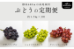 人気のぶどう３品種を定期便でお届けします！