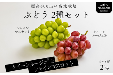TK17-25A ぶどう２種セット（シャインマスカット／クイーンルージュ®）約2kg／2025年9月下旬頃～配送予定 // 長野県 南信州 種なし 皮ごと 詰め合わせ 食べ比べ 贈答 ギフト 新鮮 クインルージュ シャイン マスカット 葡萄