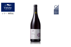 VI10-25F VinVie 赤ワイン シラー 樽熟成 // 長野県 南信州 日本ワイン 赤ワイン 葡萄酒 フレンチオーク 750ml やや辛口 長野県産ワイン GI長野