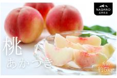 MS27-25A 桃 あかつき（長野県産秀品） 約5kg／2025年7月中旬～8月中旬頃 配送予定 // 長野県 南信州 モモ 贈答 秀品 産地直送 もも 甘い
