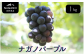 ナガノパープル 約1kg（1～3房）