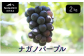 ナガノパープル 約2kg（3～5房）