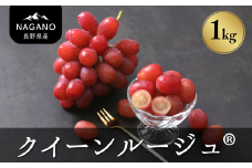MS34-25A ぶどう クイーンルージュ®（長野県産秀品） 約1kg／2025年10月中旬～11月中旬頃 配送予定 // 稀少 新品種 長野県 南信州 高糖度 葡萄 ブドウ 甘い 種なし 皮ごと