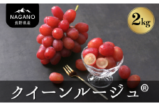 MS35-25A ぶどう クイーンルージュ®（長野県産秀品） 約2kg／2025年10月中旬～11月中旬頃 配送予定 // 稀少 新品種 長野県 南信州 高糖度 葡萄 ブドウ クインルージュ 甘い 種なし 皮ごと