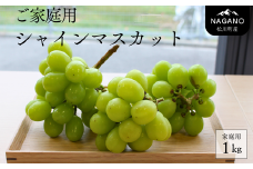 KG17-25A  ぶどう シャインマスカット 家庭用 約1kg / 2025年9月下旬頃～配送予定 // 長野県 南信州 松川町 葡萄 ブドウ 産地直送 農家直送 マスカット 種なし 皮ごと  果物 フルーツ 訳あり 家庭用 フードロス 食品ロス