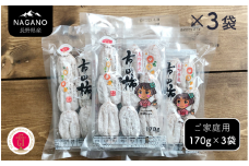 MS43-25A 市田柿 170g×3袋（ご自宅用）/ 2026年1月上旬～2月下旬頃 配送予定 // 長野県 南信州 干し柿 干柿 市田柿 高糖度 ドライフルーツ 家庭用 自宅用