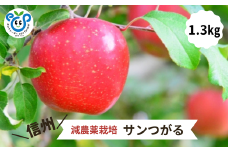 HF24-25A 【信州松川町産】 サンつがる 約1.3kg ／8月下旬～9月中旬ごろ発送開始予定 // 長野県 南信州  減農薬栽培 りんご サンつがる エコファーマー認証