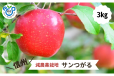 HF14-25A 【信州松川町産】 サンつがる 約3kg ／8月下旬～9月中旬ごろ発送開始予定 // 長野県 南信州  減農薬栽培 りんご サンつがる エコファーマー認証