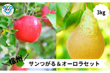 HF04-25A 【信州松川町産】 サンつがる＆オーロラ 2種類セット 約3kg ／9月上旬～9月中旬発送予定 // 長野県 南信州  減農薬栽培 りんご サンつがる 洋梨 オーロラ エコファーマー認証 農家支援