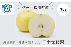 HF32-25A 【信州松川町産】 二十世紀梨 約3kg ／9月後半発送開始予定 // 長野県 南信州  減農薬栽培 和梨 なし ナシ 20世紀 ２０世紀 エコファーマー認証 農家支援 