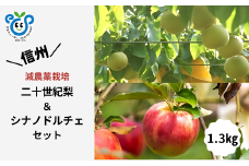 HF34-25A 【信州松川町産】二十世紀梨＆シナノドルチェ 梨とりんご2種セット 約1.3kg ／9月後半発送開始予定  // 長野県 南信州  減農薬栽培 りんご シナノドルチェ 洋梨 二十世紀梨 20世紀 ２０世紀