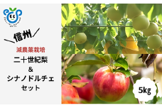 HF36-25A 【信州松川町産】二十世紀梨＆シナノドルチェ 梨とりんご2種セット 約5kg ／9月後半発送開始予定  // 長野県 南信州  減農薬栽培 りんご シナノドルチェ 洋梨 二十世紀梨 20世紀 ２０世紀