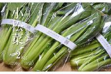YT10-25B 【金田農園】 信州のお野菜 小松菜 約2kg  農薬・化学肥料に頼らず育ったお野菜 地元子どもたちの給食でも使用 // 有機野菜 有機食材 オーガニック オーガニック野菜 無農薬 化学肥料不使用