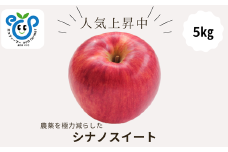 HF09-25A 【信州松川町産】 シナノスイート  約5kg／10月中旬発送開始予定 // 長野県 南信州 オリジナル品種 減農薬栽培 エコファーマー認証農家 りんご3兄弟 HF