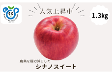 HF42-25A 【信州松川町産】 シナノスイート  約1.3kg／10月中旬発送開始予定 // 長野県 南信州 オリジナル品種 減農薬栽培 エコファーマー認証農家 りんご3兄弟 HF