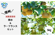 HF39-25A 【信州松川町産】 南水梨＆ラ・フランス 和梨と洋梨2種セット 約5kg ／ 10月下旬発送開始予定 / 長野県 南信州  減農薬栽培 和梨 なし ナシ 南水 洋梨 ラフランス エコファーマー認証 農家支援 HF