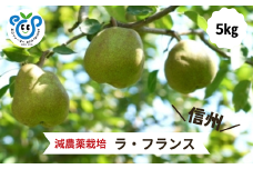 HF41-25A 【信州松川町産】 洋梨ラ・フランス 約5kg ／ 10月下旬発送開始予定 / 長野県 南信州  減農薬栽培 なし ナシ 洋梨 ラフランス エコファーマー認証 農家支援 HF