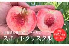 KM12-25A ネクタリン スイートクリスタル 約2.5kg （12～15玉）大小混在 長野県松川町産 収穫から24h以内出荷／7月下旬頃 発送 //長野県 信州 南信州 松川町 ネクタリン ズバイ モモ 桃 贈答 約3kg  長野県限定