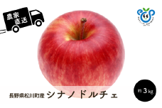 HF15-25A 【信州松川町産】シナノドルチェ 約3kg ／9月中旬頃発送開始予定 // 長野県 南信州  減農薬栽培 りんご シナノドルチェ エコファーマー認証