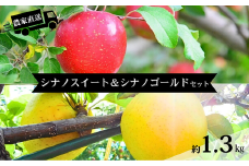 HF45-25A 【信州松川町産】シナノスイート＆シナノゴールド2種セット 約1.3kg／11月上旬発送予定 // 長野県 南信州 オリジナル品種 減農薬栽培 エコファーマー認証農家 りんご3兄弟 HF