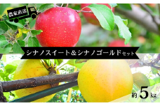 HF46-25A 【信州松川町産】シナノスイート＆シナノゴールド2種セット 約5kg／11月上旬発送予定 // 長野県 南信州 オリジナル品種 減農薬栽培 エコファーマー認証農家 りんご3兄弟 HF