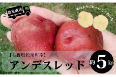 HF49-25B 長野県松川町産じゃがいも アンデスレッド 約5kg / 8月中旬発送開始予定 // 長野県 南信州 減農薬栽培 いも 芋 イモ ジャガイモ エコファーマー認証 農家支援 産地直送