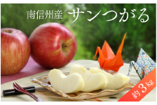 JA46-25A りんご サンつがる 約3kg / 2025年8月下旬～9月上旬ごろ配送予定 // 長野県 南信州 贈答 ギフト 新鮮 林檎 リンゴ サンツガル
