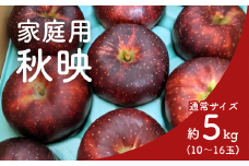 KR29-25A りんご 秋映 家庭用 約5㎏（10～16玉） / 10月上旬頃～配送予定 // 長野県 南信州 松川町産 リンゴ 林檎 訳あり 自家用 家庭用 あきばえ 農家直送 農家支援 産地直送