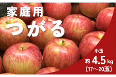 KR37-25A りんご つがる 家庭用【小玉】約4.5㎏（17～20玉） / 8月下旬頃～配送予定 // 長野県 南信州 松川町産 自家用 訳あり リンゴ 林檎 早生りんご 農家直送 農家支援 産地直送 約5kg