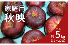 KR38-25A りんご 秋映 家庭用【小玉】 約5㎏（17～20玉） / 10月上旬頃～配送予定 // 長野県 南信州 松川町産 リンゴ 林檎 訳あり 自家用 家庭用 あきばえ 農家直送 農家支援 産地直送