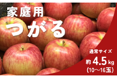 KR28-25A りんご つがる 家庭用 約4.5㎏（10～16玉） / 8月下旬頃～配送予定 // 長野県 南信州 松川町産 自家用 訳あり リンゴ 林檎 早生りんご 農家直送 農家支援 産地直送 約5kg