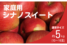 KR30-25A りんご シナノスイート 家庭用 約5kg（10～16玉） / 10月中旬頃～配送予定 // 長野県 南信州 松川町産 リンゴ 林檎 自家用 訳あり 農家直送 農家支援 産地直送