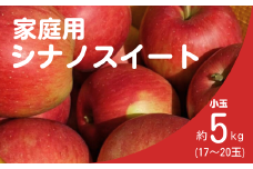 KR39-25A りんご シナノスイート 家庭用【小玉】 約5kg（17～20玉） / 10月中旬頃～配送予定 // 長野県 南信州 松川町産 リンゴ 林檎 自家用 訳あり 農家直送 農家支援 産地直送
