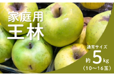 KR34-25A りんご 王林 家庭用 約5㎏（10～16玉） / 11月上旬頃～配送予定 // 長野県 南信州 リンゴ 林檎 黄緑色りんご 訳あり 自家用 農家直送 農家支援 産地直送