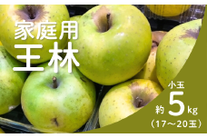 KR41-25A りんご 王林 家庭用【小玉】 約5㎏（17～20玉） / 11月上旬頃～配送予定 // 長野県 南信州 リンゴ 林檎 黄緑色りんご 訳あり 自家用 農家直送 農家支援 産地直送