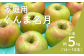 りんご農家直送！松川町産 ぐんま名月（ぐんまめいげつ）【家庭用】