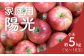 りんご農家直送！松川町産陽光 家庭用