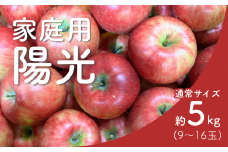 KR31-25A りんご 陽光 家庭用 約5㎏（9〜16玉） / 10月中旬頃～配送予定 // 長野県 南信州 リンゴ 林檎 ようこう 訳あり 自家用 農家直送 農家支援 産地直送