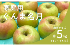 KR13-25A りんご ぐんま名月 家庭用  約5㎏（10～16玉） / 11月上旬頃～配送予定 // 長野県 南信州 リンゴ 林檎 名月 訳あり 自家用 農家直送 農家支援 産地直送