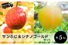 HF52-25A【信州松川町産】サンふじ＆シナノゴールド2種セット 約5kg／12月上旬頃 発送予定 // 長野県 南信州 オリジナル品種 減農薬栽培 エコファーマー認証農家 りんご 詰合せ 食べ比べ
