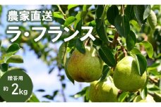 KL06-25A 洋梨 ラ・フランス 約2kg 贈答 松川町産 /10月中旬頃 発送 // 長野県 南信州 松川町 ギフト 洋梨 洋ナシ 洋なし ラフランス 農家直送 農家支援 贈答 果物 西洋梨 フルーツ