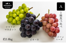 KG08-25A ぶどう3種食べ比べセットA（シャインマスカット／ピオーネ／クイーンニーナ）約1.8kg【数量限定】/ 9月下旬頃〜発送予定 // 長野県 南信州 松川町 種なし 皮ごと 食べ比べ 詰め合わせ 産地直送 農家直送 贈答 新鮮 シャイン ニーナ ピオーネ 希少 果物 フルーツ