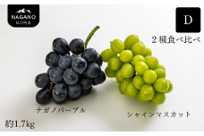 KG11-25A ぶどう食べ比べセット 2種  D（シャインマスカット／ナガノパープル）約1.7kg ／9月上旬頃～発送予定 ｜長野県 南信州 松川町 種なし 皮ごと 葡萄 ぶどう ブドウ 農家直送 食べ比べ 詰め合わせ 贈答 新鮮 シャイン マスカット ナガノパープル 果物 フルーツ KG11 約2kg