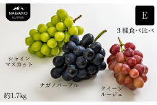 KG18-25A ぶどう食べ比べセット 3種 E（シャインマスカット/ナガノパープル/クイーンルージュ🄬）約1.7kg ／ 9月上旬頃から発送予定 ｜ 長長野県 南信州 松川町 種なし 皮ごと 葡萄 ぶどう ブドウ 農家直送 食べ比べ 詰め合わせ 贈答 新鮮 シャイン マスカット ナガノパープル クイーンルージュ🄬 果物 フルーツ