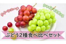 KG09-25A ぶどう 詰め合わせセット（シャインマスカット／クイーンニーナ）約1.8kg／9月中旬頃から発送予定 ｜ 長野県 信州 高級ぶどう 食べ比べ 詰め合わせ 