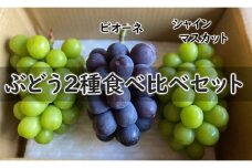 KG10-25A ぶどう 2種 詰め合わせセット（シャインマスカット／ピオーネ）約1.8kg／9月下旬頃～発送予定 ｜ 長野県 信州 高級ぶどう 食べ比べ 詰め合わせ 贈答  