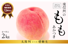 JA01-26A 【先行予約】桃 あかつき 約2kg / 2026年7月下旬～8月上旬頃配送予定 // 贈答 センサ ー選別 糖度センサー 桃 もも 果物 フルーツ ギフト あかつき 太鼓判 優糖生 